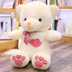 Bear skin Plush Teddy Bear