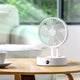 Desk Fan